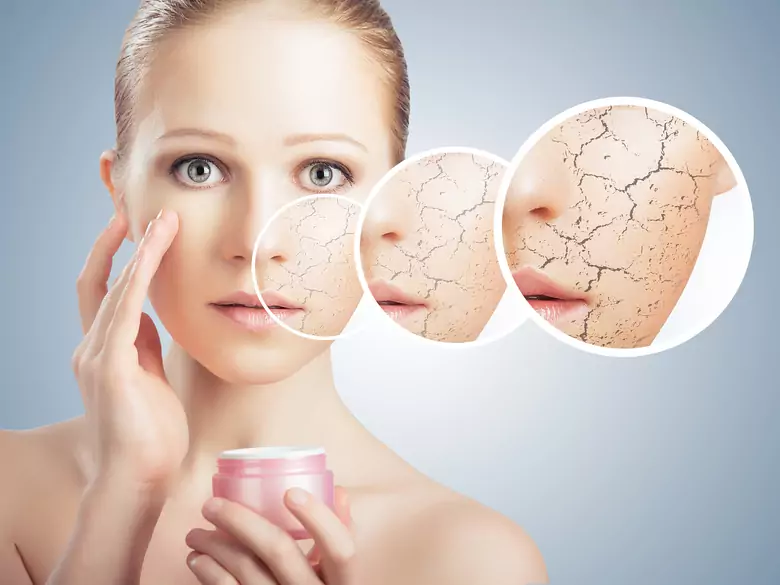 Jak zbudowana jest skóra człowieka?